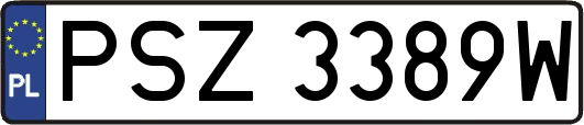 PSZ3389W