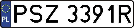 PSZ3391R