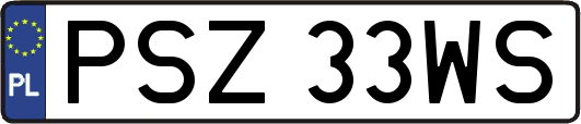 PSZ33WS
