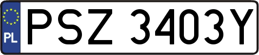 PSZ3403Y