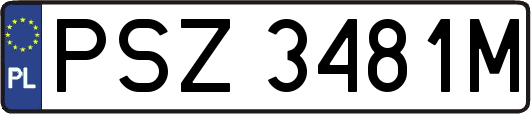 PSZ3481M