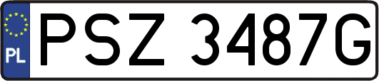PSZ3487G