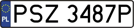 PSZ3487P