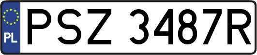 PSZ3487R