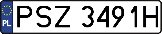 PSZ3491H