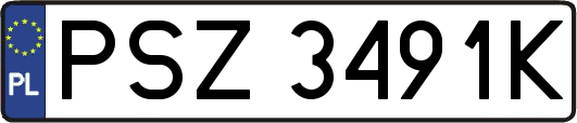 PSZ3491K