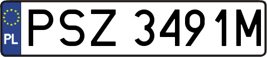 PSZ3491M