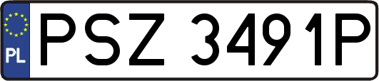 PSZ3491P