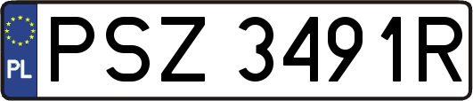 PSZ3491R