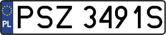 PSZ3491S