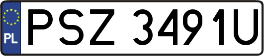 PSZ3491U
