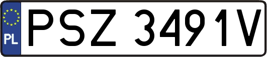 PSZ3491V