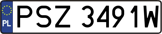 PSZ3491W