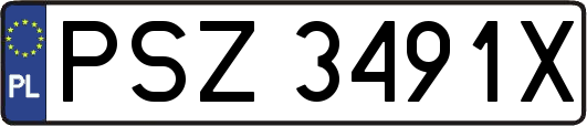 PSZ3491X