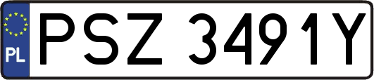 PSZ3491Y