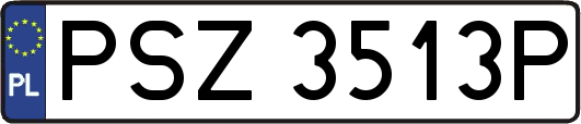 PSZ3513P