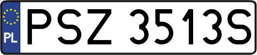 PSZ3513S