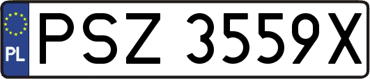 PSZ3559X