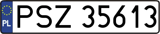 PSZ35613