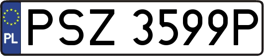 PSZ3599P