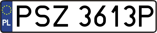 PSZ3613P