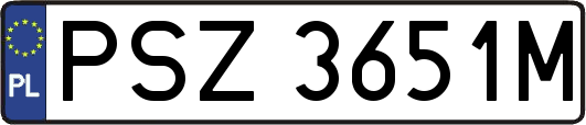 PSZ3651M