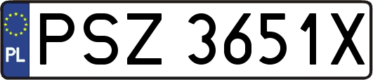 PSZ3651X