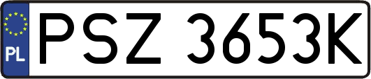 PSZ3653K