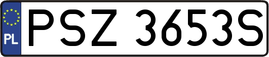 PSZ3653S