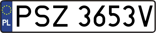 PSZ3653V