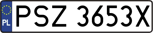 PSZ3653X