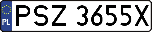 PSZ3655X
