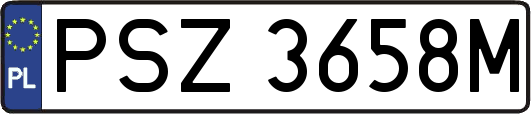 PSZ3658M