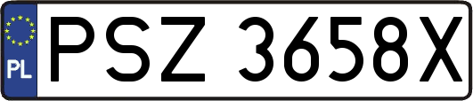 PSZ3658X