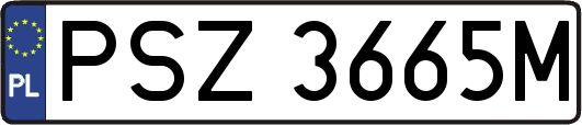 PSZ3665M
