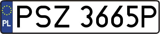 PSZ3665P