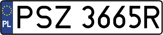 PSZ3665R