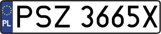 PSZ3665X