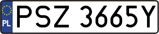PSZ3665Y