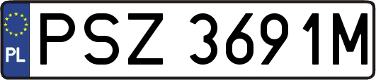 PSZ3691M