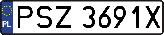 PSZ3691X