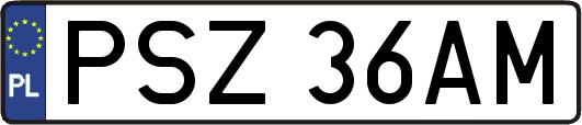 PSZ36AM