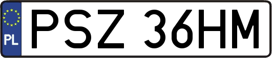 PSZ36HM