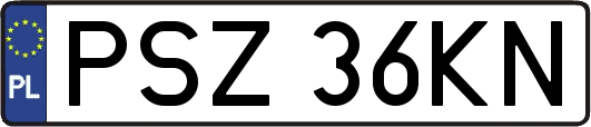 PSZ36KN