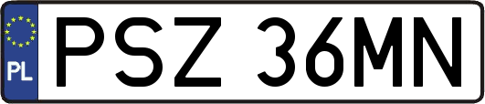 PSZ36MN