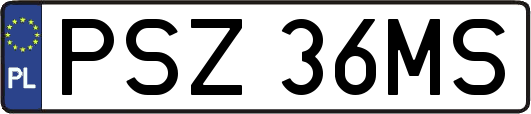PSZ36MS