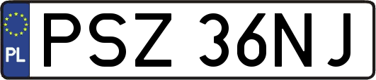 PSZ36NJ