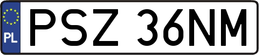 PSZ36NM