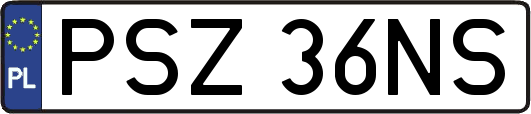 PSZ36NS