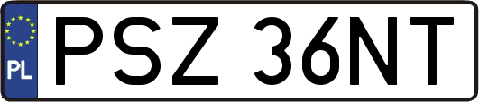 PSZ36NT